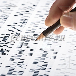 Не скифы мы