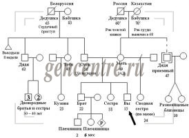 Пособие для начинающих генеалогов