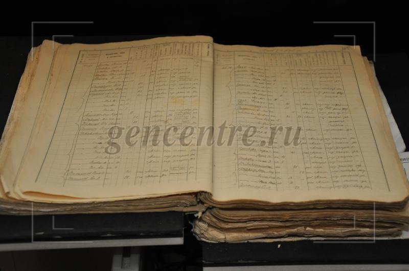 Псковский архив тестирует удаленный доступ